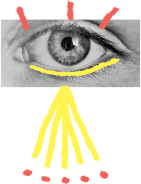 eye-image